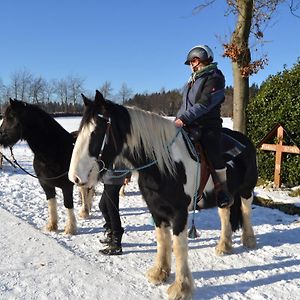 Ferien Bei Freunden Im Holzhaus